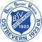 bsvlogo